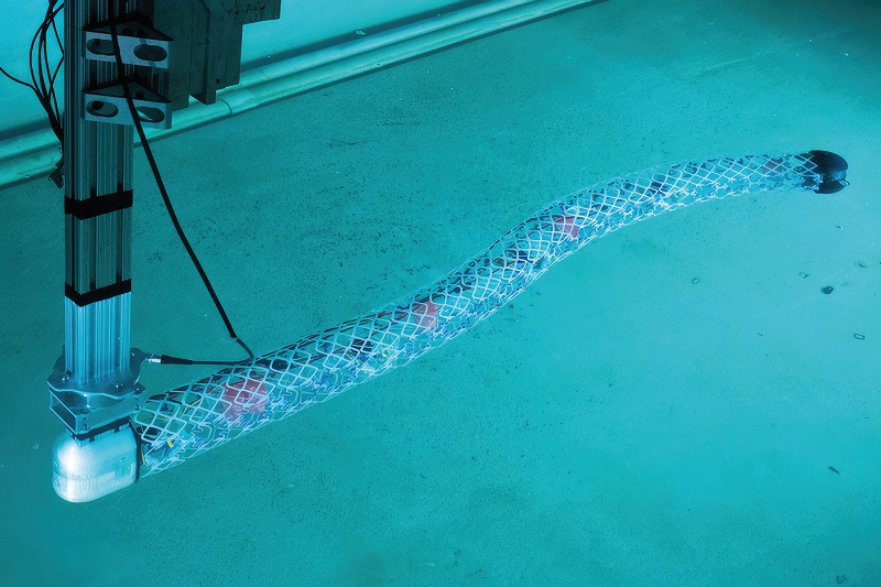 The eel-like version generated enough thrust to propel itself forward