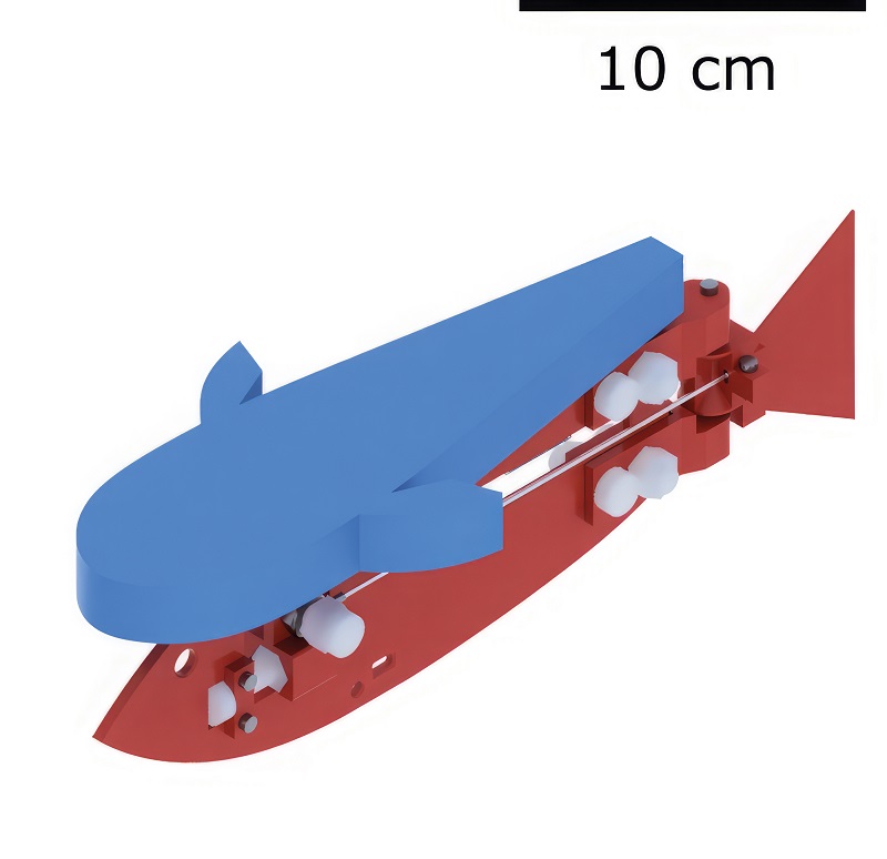 Propulsion for the robot fish comes from a twisted and coiled polymer, shown as TCP above and running along the side of the fish, below