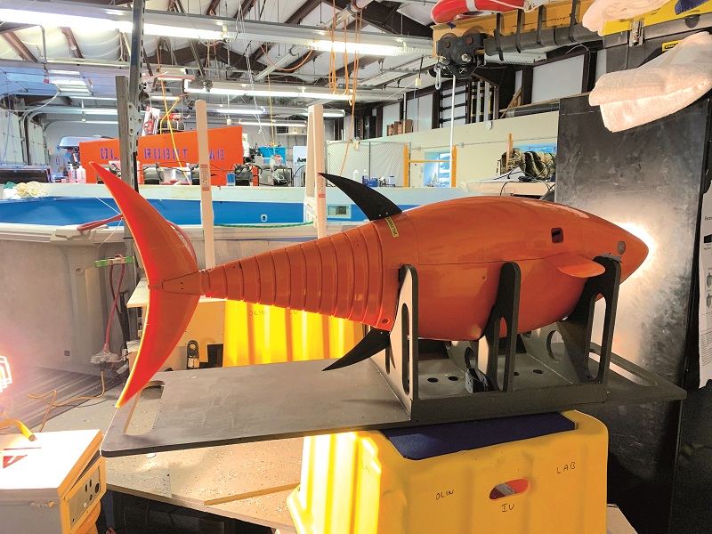 The overall shape of the robot tuna, coupled with an understanding of its hydrodynamics, harmonics and control, promise huge range and endurance improvements for AUVs