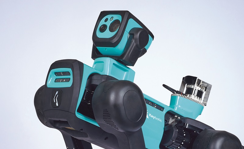 The standard inspection head contains optical, thermal and audio sensors as well as a torch, with a single D-Sub connector for power and data