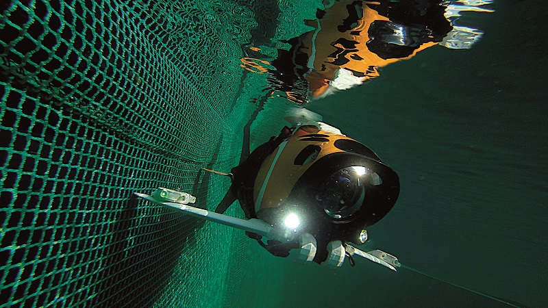 Uncrewed systems are increasingly a staging ground for biomimetics, such as Aquaai’s Mazu AUV, which flexes and swims like a fish (Courtesy of Aquaai)