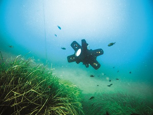 In September 2023, the uOne_s seagrass mapping abilities were demonstrated in the south of France with Creocean and Seaviews, mapping around 5000 m² in two days